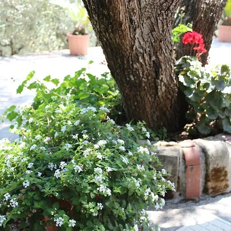Casa Josella