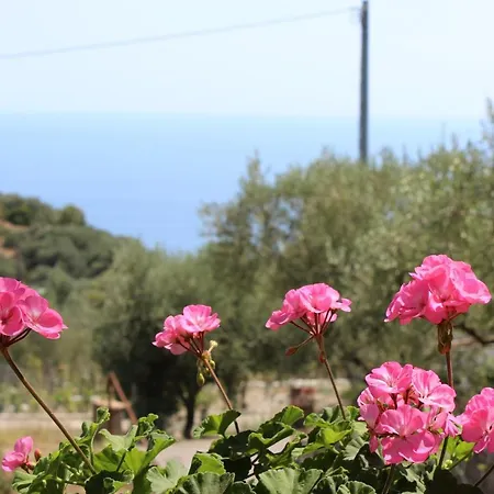 Casa vacanze Casa Josella