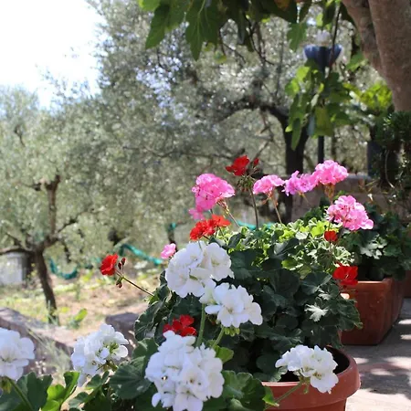 Casa Josella Holiday home