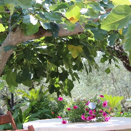 Holiday home Casa Josella *