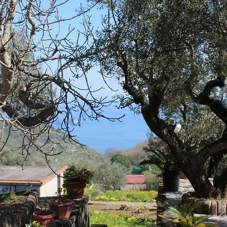 Casa Josella * Massa Lubrense