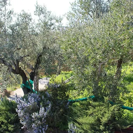 Casa vacanze Casa Josella Massa Lubrense